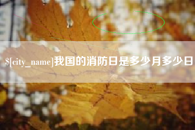 西双版纳我国的消防日是多少月多少日