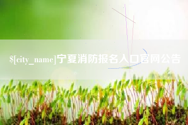 西双版纳宁夏消防报名入口官网公告