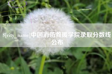西双版纳中国消防救援学院录取分数线公布