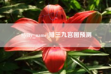 西双版纳排三九宫图预测