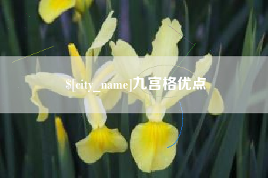 西双版纳九宫格优点