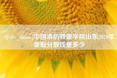 西双版纳中国消防救援学院山东2020年录取分数线是多少