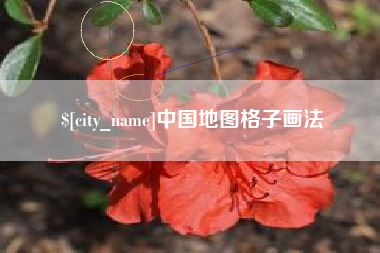 西双版纳中国地图格子画法