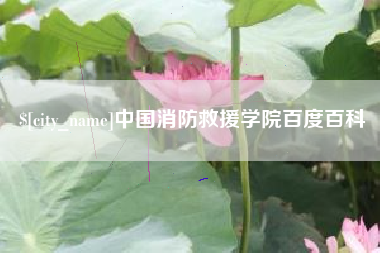 西双版纳中国消防救援学院百度百科