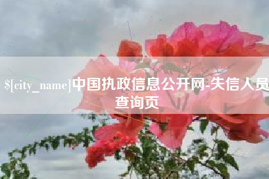 西双版纳中国执政信息公开网-失信人员查询页
