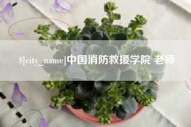 西双版纳中国消防救援学院 老师