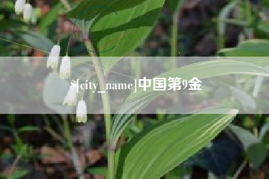 西双版纳中国第9金