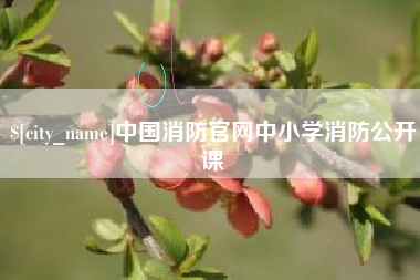 西双版纳中国消防官网中小学消防公开课