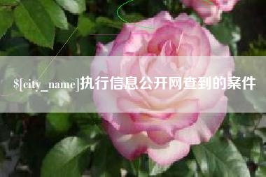 西双版纳执行信息公开网查到的案件
