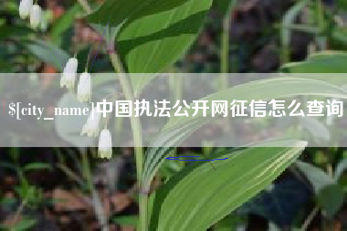 西双版纳中国执法公开网征信怎么查询