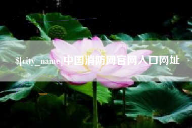 西双版纳中国消防网官网入口网址