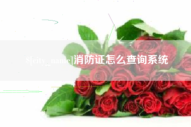 西双版纳消防证怎么查询系统