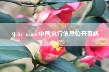 西双版纳中国执行信息公开系统