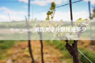 西双版纳消防大学分数线是多少