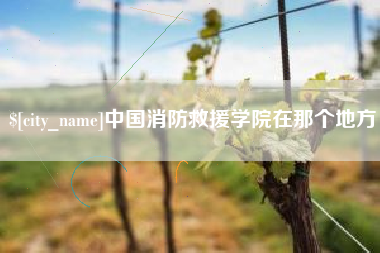 西双版纳中国消防救援学院在那个地方