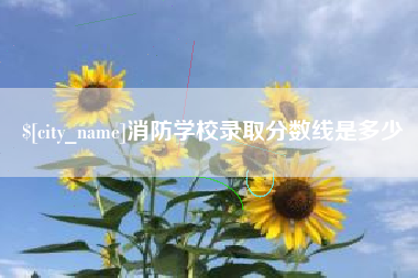 西双版纳消防学校录取分数线是多少