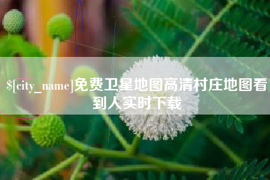 西双版纳免费卫星地图高清村庄地图看到人实时下载
