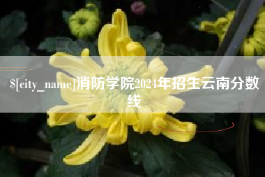 西双版纳消防学院2024年招生云南分数线