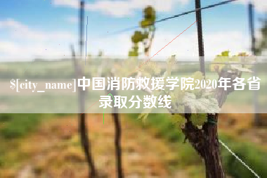 西双版纳中国消防救援学院2020年各省录取分数线