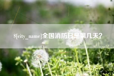 西双版纳全国消防日是第几天？
