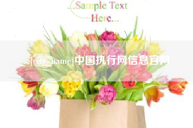 西双版纳中国执行网信息官网