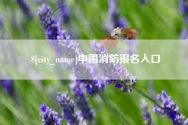 西双版纳中国消防报名入口
