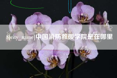 西双版纳中国消防救援学院是在哪里