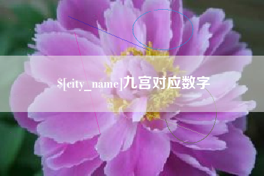 西双版纳九宫对应数字