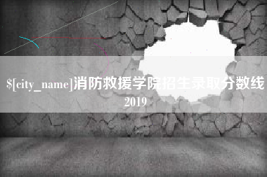 西双版纳消防救援学院招生录取分数线2019