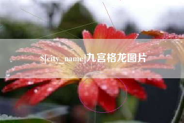 西双版纳九宫格龙图片