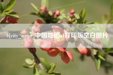 西双版纳中国地图a4打印版空白图片