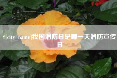 西双版纳我国消防日是哪一天消防宣传日