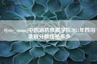 西双版纳中国消防救援学院2021年四川录取分数线是多少