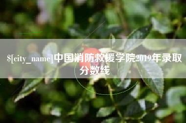 西双版纳中国消防救援学院2019年录取分数线