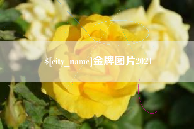 西双版纳金牌图片2021