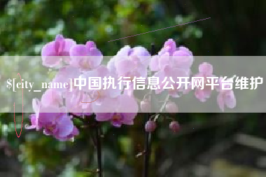 西双版纳中国执行信息公开网平台维护