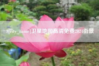 西双版纳卫星地图高清免费2024街景