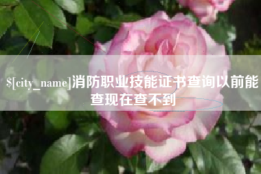 西双版纳消防职业技能证书查询以前能查现在查不到