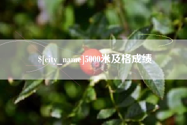 西双版纳5000米及格成绩