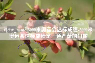 西双版纳5000米奥运会达标成绩-5000米奥运会达标成绩是一道严苛的门槛