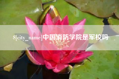 西双版纳中国消防学院是军校吗