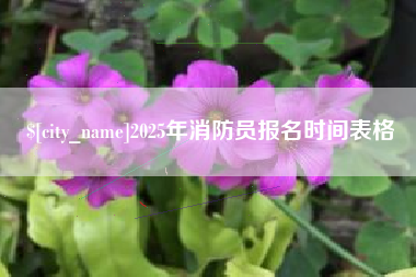 西双版纳2025年消防员报名时间表格