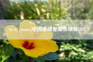 西双版纳中国金牌是哪些项目2021