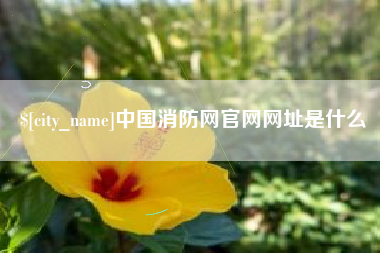 西双版纳中国消防网官网网址是什么