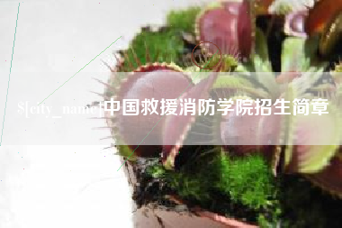 西双版纳中国救援消防学院招生简章