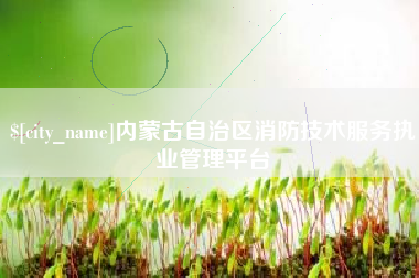 西双版纳内蒙古自治区消防技术服务执业管理平台