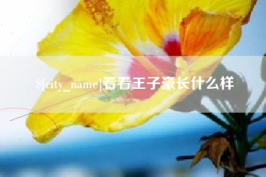 西双版纳看看王子豪长什么样