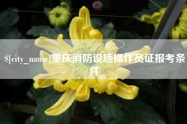 西双版纳重庆消防设施操作员证报考条件