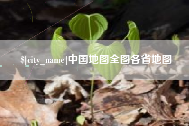西双版纳中国地图全图各省地图