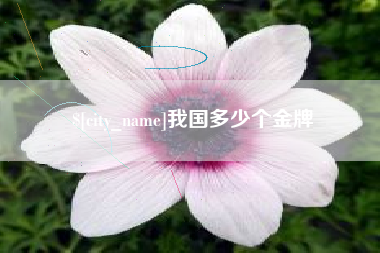 西双版纳我国多少个金牌